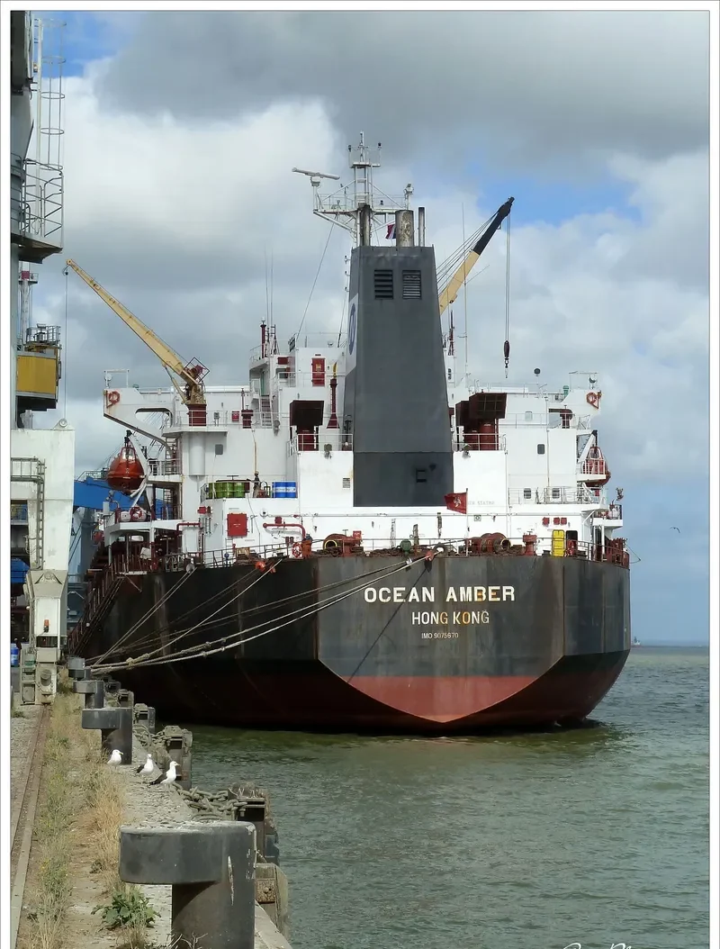 SOLOMON TRADER Bulk Carrier IMO 9075670 photo 2