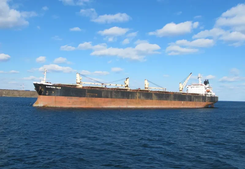 EASTERN VIEW Bulk Carrier IMO 9075682
