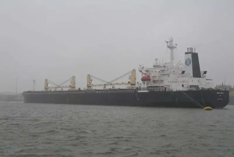 EASTERN VIEW Bulk Carrier IMO 9075682 photo 3
