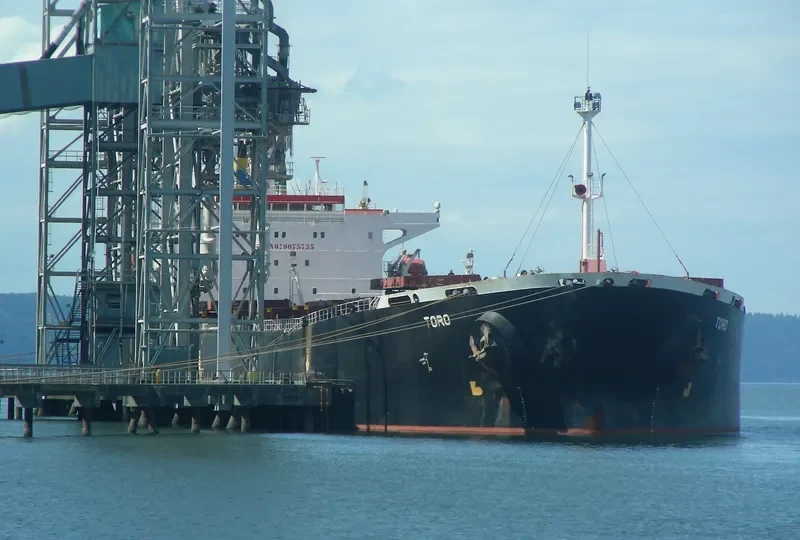 PERMATA CAROLINE Bulk Carrier IMO 9075735