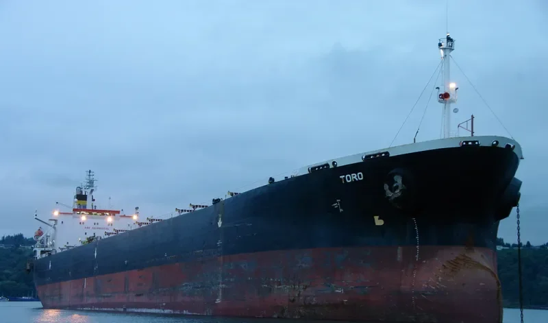 PERMATA CAROLINE Bulk Carrier IMO 9075735 photo 2