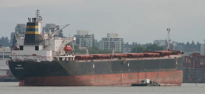 PERMATA CAROLINE Bulk Carrier IMO 9075735 photo 3