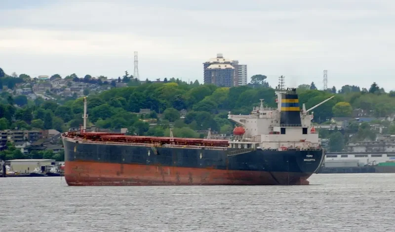 PERMATA CAROLINE Bulk Carrier IMO 9075735 photo 4