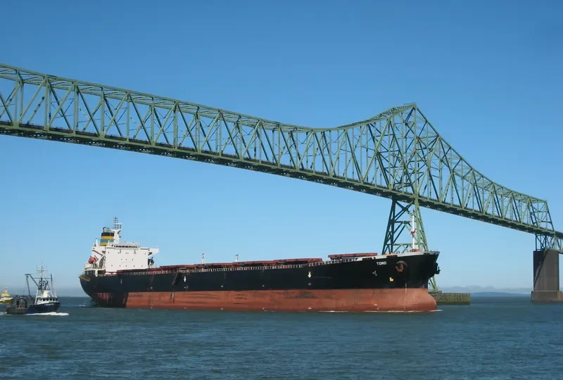 PERMATA CAROLINE Bulk Carrier IMO 9075735 photo 6