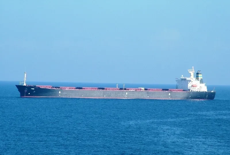 PERMATA CAROLINE Bulk Carrier IMO 9075735 photo 8