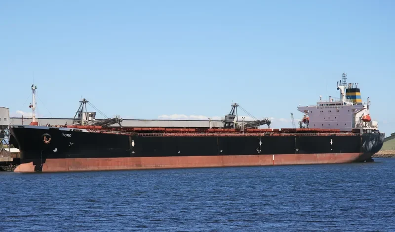 PERMATA CAROLINE Bulk Carrier IMO 9075735 photo 9