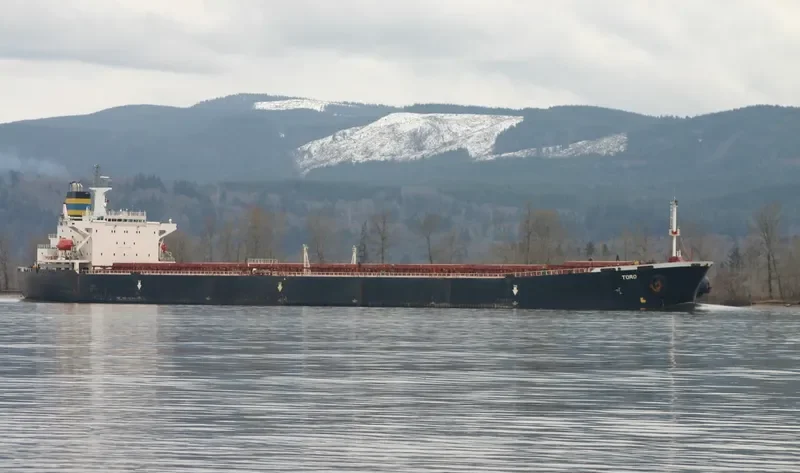 PERMATA CAROLINE Bulk Carrier IMO 9075735 photo 10