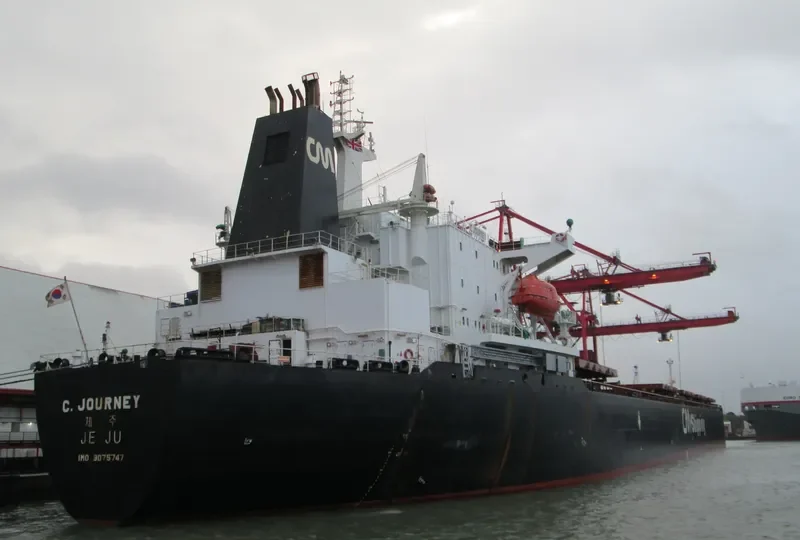 ORIENTAL SAGA Bulk Carrier IMO 9075747