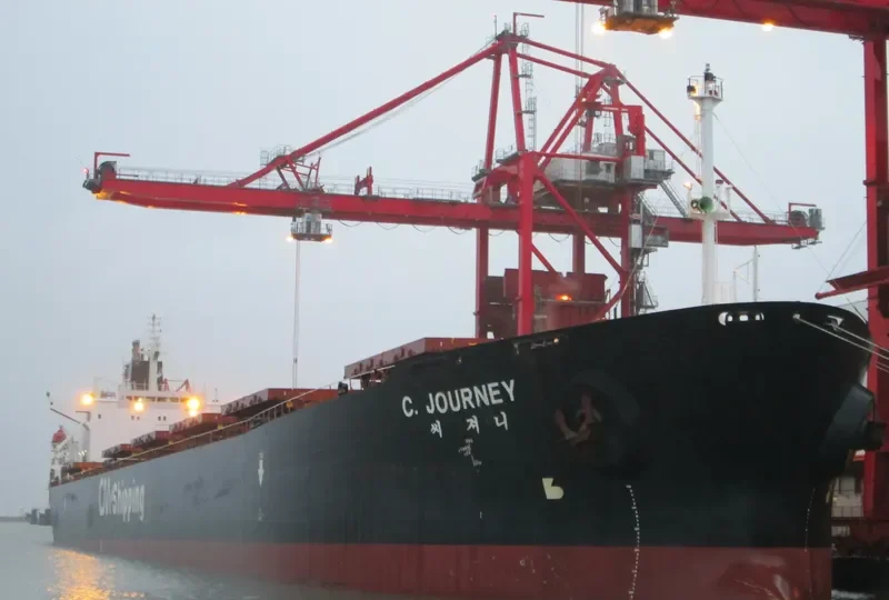 ORIENTAL SAGA Bulk Carrier IMO 9075747 photo 2