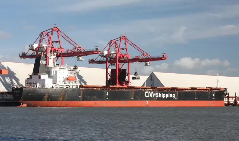 ORIENTAL SAGA Bulk Carrier IMO 9075747 photo 4