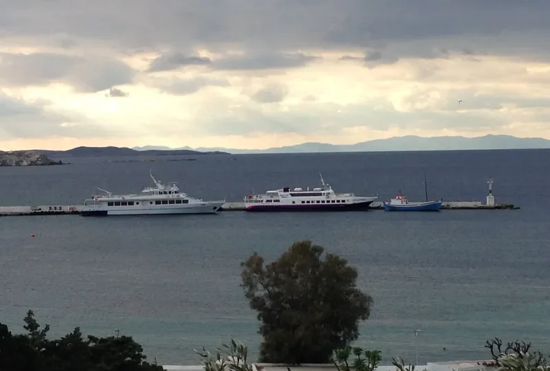 DELOS EXPRESS Passenger Ship IMO 9075864 photo 9
