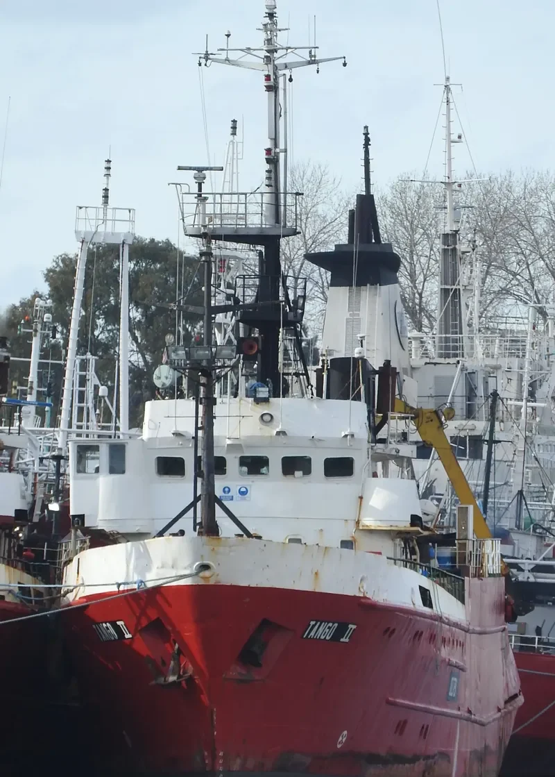 TANGO II General Cargo IMO 9075888 photo 3