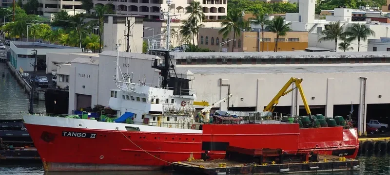 TANGO II General Cargo IMO 9075888 photo 4