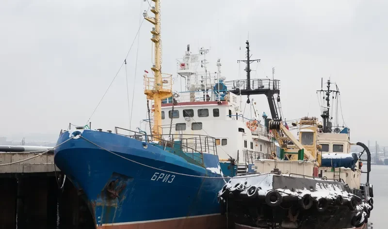 BRIZ General Cargo IMO 9076234 photo 2
