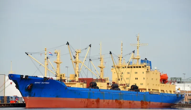 FRIO FORWIN General Cargo IMO 9076260 photo 4