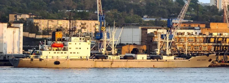BUKHTA RUSSKAYA General Cargo IMO 9076272 photo 2