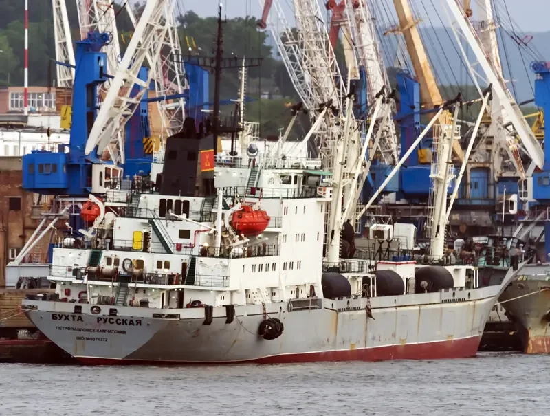 BUKHTA RUSSKAYA General Cargo IMO 9076272 photo 3