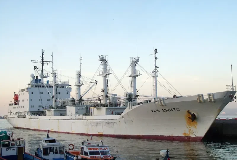 BUKHTA RUSSKAYA General Cargo IMO 9076272 photo 5