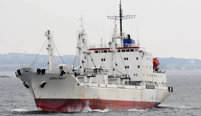 BUKHTA RUSSKAYA General Cargo IMO 9076272 photo 7