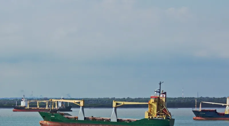 SAVIOUR General Cargo IMO 9076325