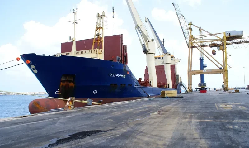 SPAN ASIA 10 General Cargo IMO 9076351 photo 6