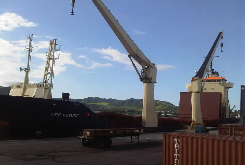 SPAN ASIA 10 General Cargo IMO 9076351 photo 8