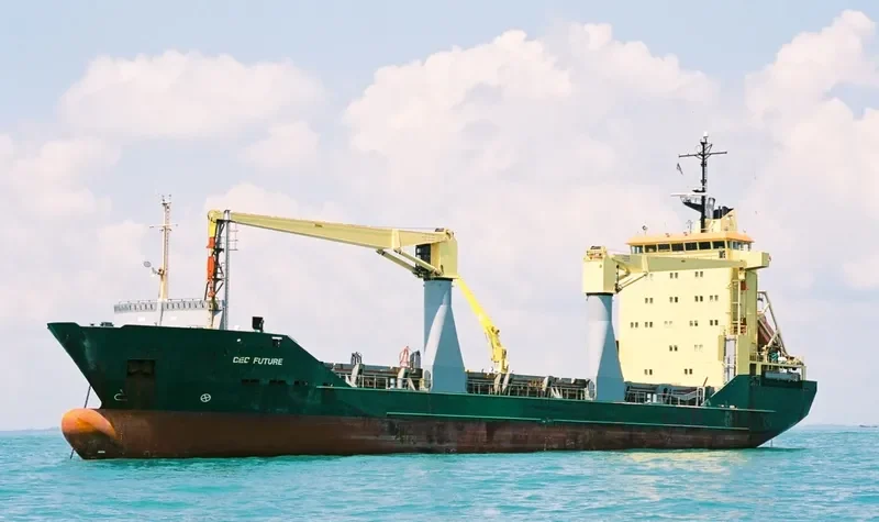 SPAN ASIA 10 General Cargo IMO 9076351 photo 9