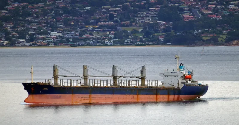 AMSEL Bulk Carrier IMO 9076387