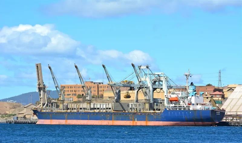 AMSEL Bulk Carrier IMO 9076387 photo 3