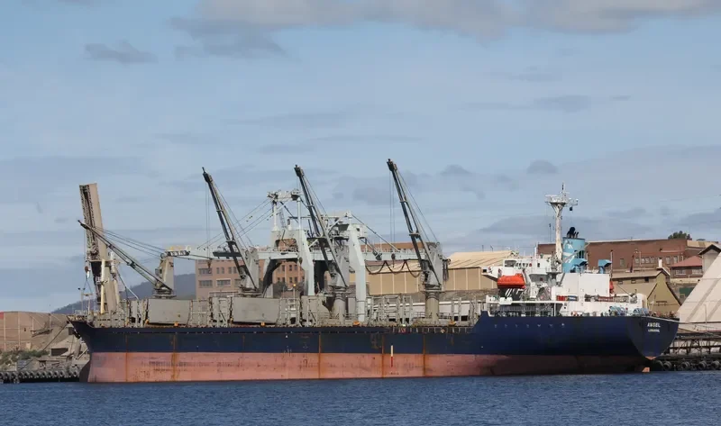 AMSEL Bulk Carrier IMO 9076387 photo 4