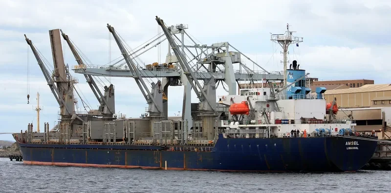 AMSEL Bulk Carrier IMO 9076387 photo 5