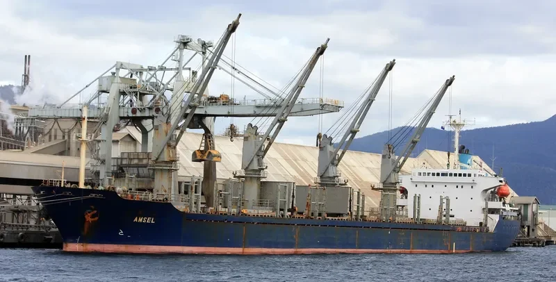 AMSEL Bulk Carrier IMO 9076387 photo 6