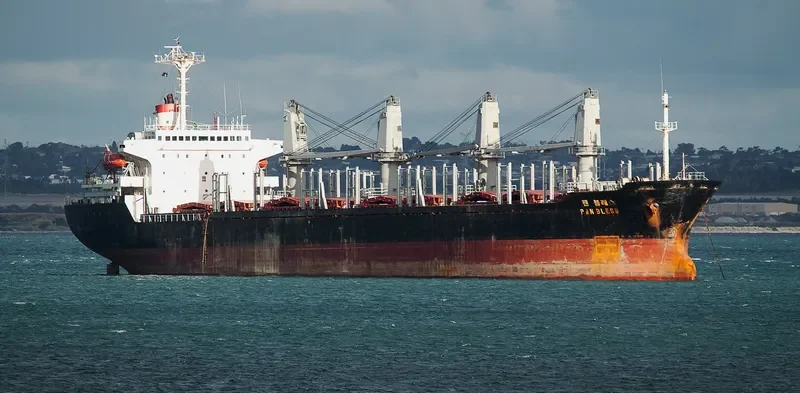 AMSEL Bulk Carrier IMO 9076387 photo 8