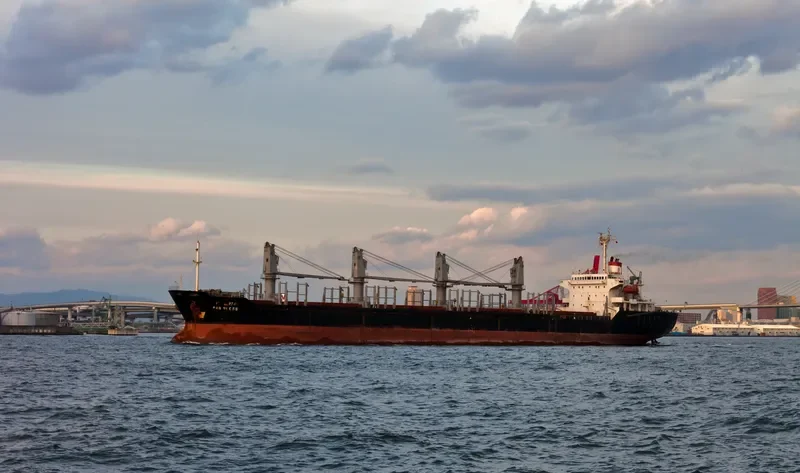 AMSEL Bulk Carrier IMO 9076387 photo 10