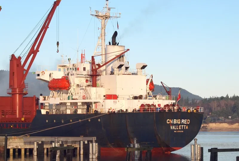 WINCA Bulk Carrier IMO 9076399 photo 5