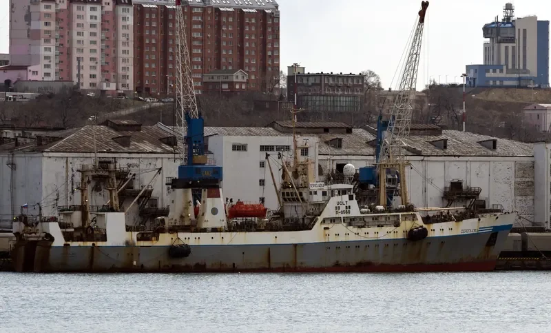 SEROGLAZKA General Cargo IMO 9076454 photo 7