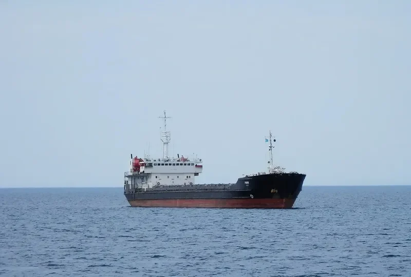 PARIN General Cargo IMO 9076478 photo 3