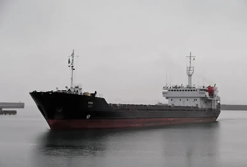 PARIN General Cargo IMO 9076478 photo 5