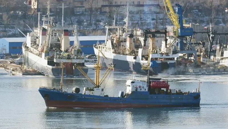 EVGENIY ZOTOV General Cargo IMO 9076595 photo 7