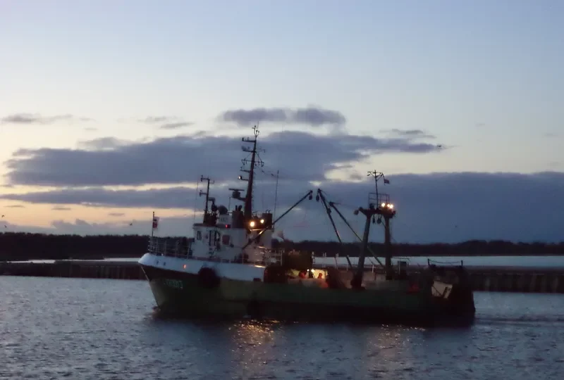 BRAVO General Cargo IMO 9076674 photo 3