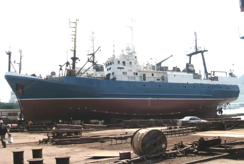 DEMOKRAT LEONOV General Cargo IMO 9076844 photo 2