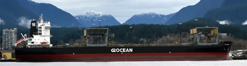KITE ARROW General Cargo IMO 9077082 photo 4