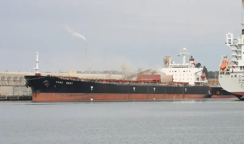 LIWA Bulk Carrier IMO 9077109 photo 2