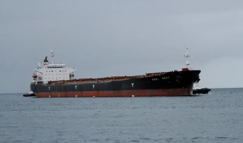 LIWA Bulk Carrier IMO 9077109 photo 4