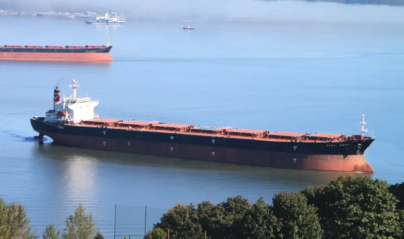 LIWA Bulk Carrier IMO 9077109 photo 5