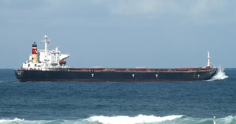 LIWA Bulk Carrier IMO 9077109 photo 7
