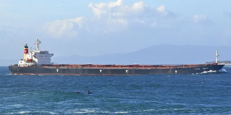 LIWA Bulk Carrier IMO 9077109 photo 9