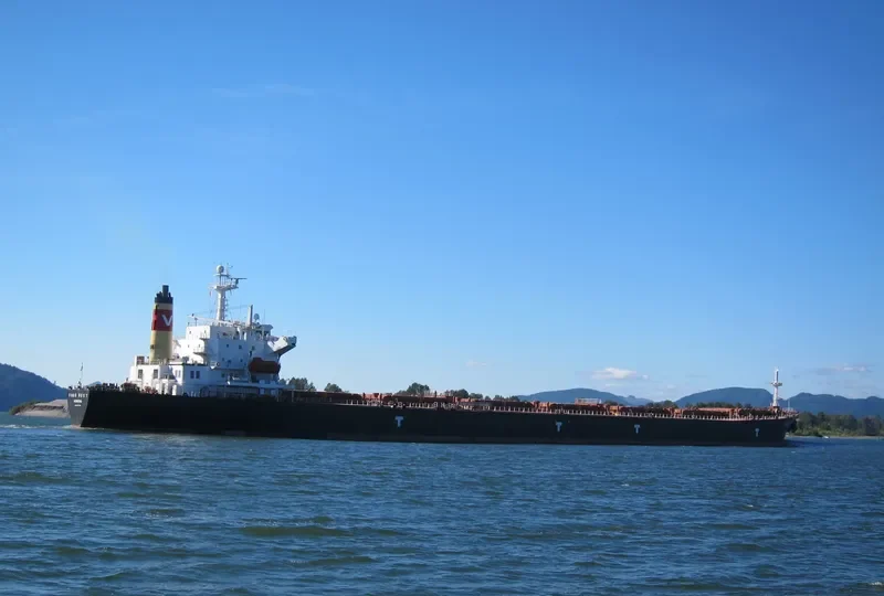 LIWA Bulk Carrier IMO 9077109 photo 10
