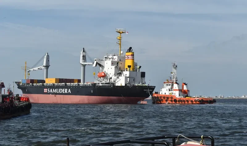 SELAT MAS Container Ship IMO 9077202 photo 2