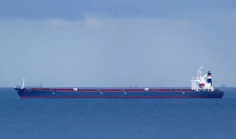 THE CREATOR Bulk Carrier IMO 9077226 photo 4
